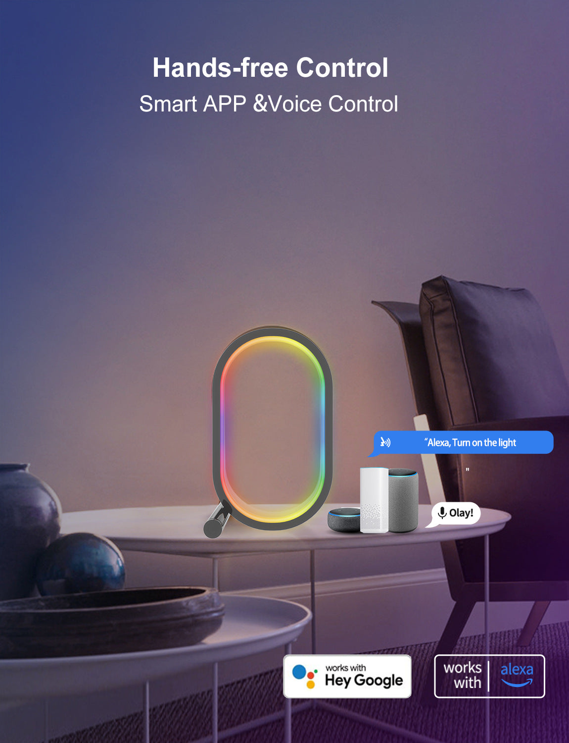 Smart RGB Ambience Light Home Decor Gym From House