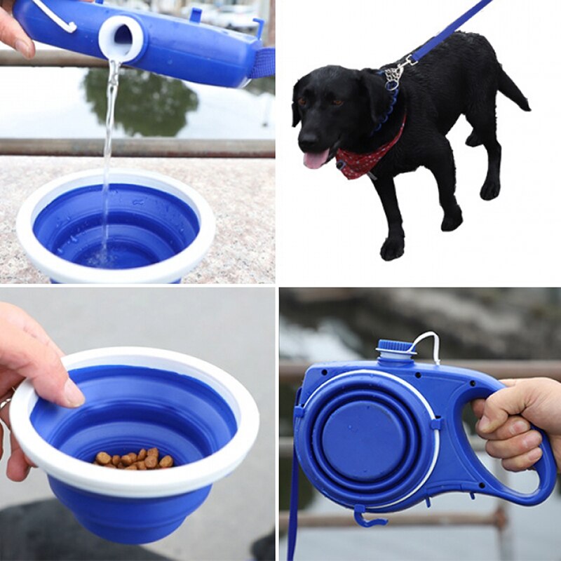 Pet Supplies With Water Bottle, Cup, Pet Rope Pets Gym From House