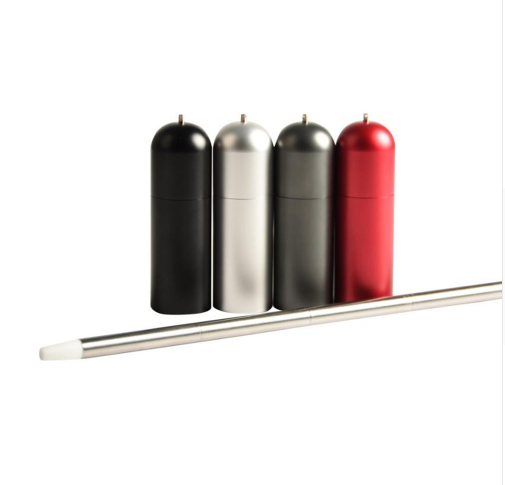 Portable Collapsible Reusable Stainless Steel Straw Eco-Friendly Kitchen DealSniper.net Silver