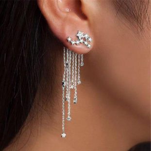 Shining Star Tassel Earrings Back Hanging Exquisite Earrings Jewelry dealsniper-net