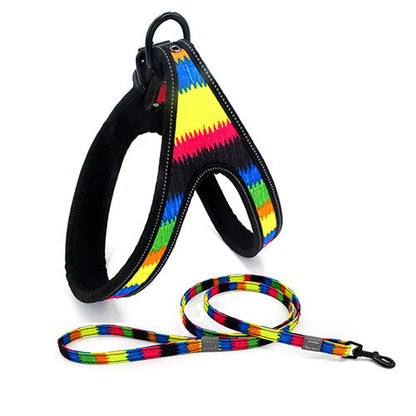 Colorful Dog Leash Dog Walking Rope Small And Medium-sized Pets dealsniper-net Color L