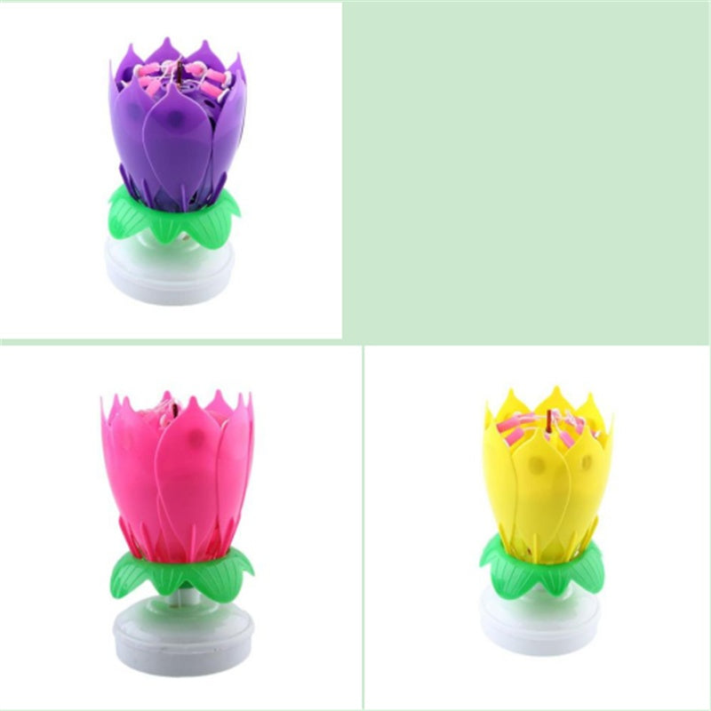 Amazing Lotus Candles Kitchen dealsniper-net 3SET11