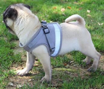 Dog Harness And Leash Set Pets DealSniper.net