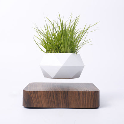 Magnetic Levitation Polygonal Wood Grain Potted Plant Home Decor dealsniper-net Walnut grain AU