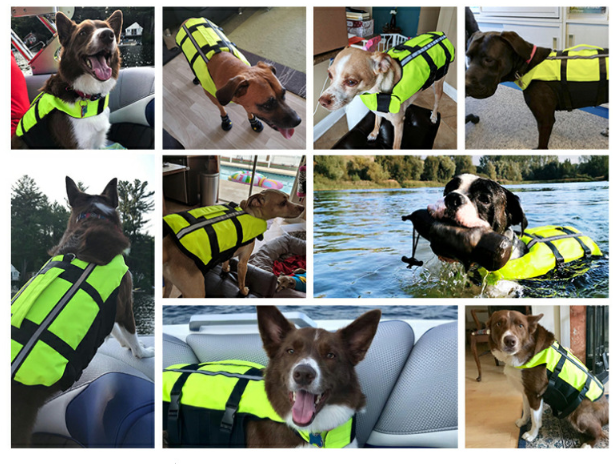 Inflatable Diving Fabric Pet Life Preserver Safety Dog Swimming Pool Vest Pets dealsniper-net