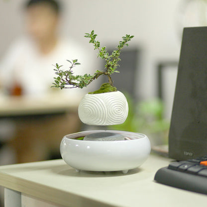 Magnetic Levitation Potted Plant Creative Gift Furniture Decoration Home Decor DealSniper.net White striped flower pot AU
