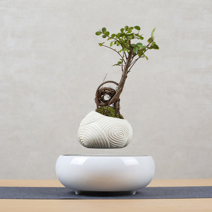 Magnetic Levitation Potted Plant Creative Gift Furniture Decoration Home Decor DealSniper.net