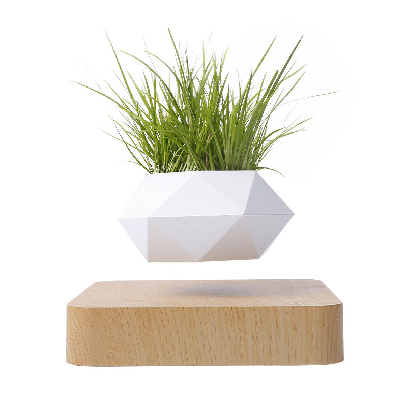 Magnetic Levitation Potted Plant Creative Gift Furniture Decoration Home Decor DealSniper.net