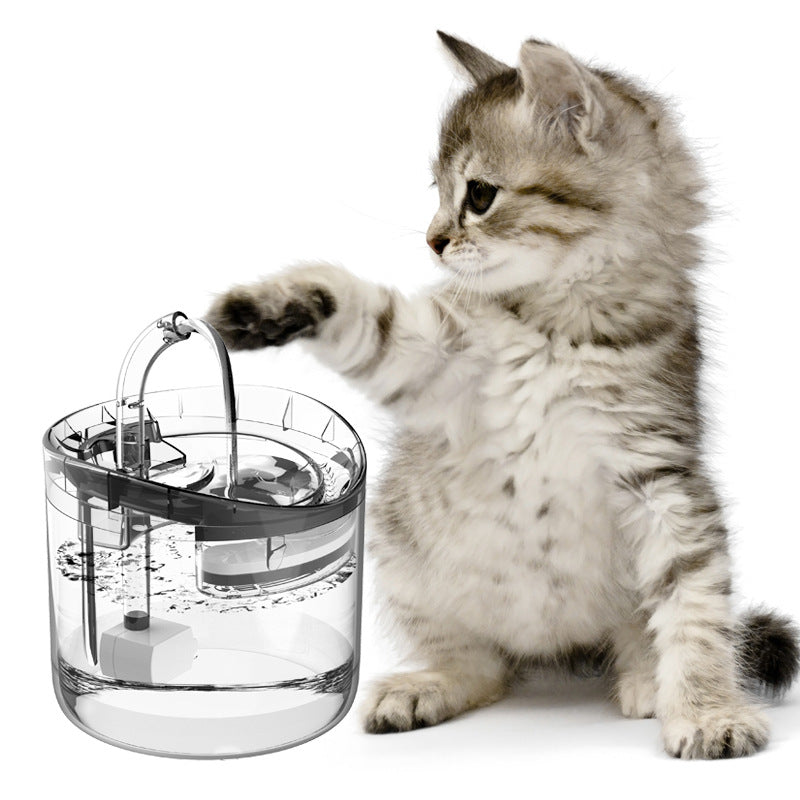 Pet Water Dispenser Automatic Circulation Cat Pets Gym From House