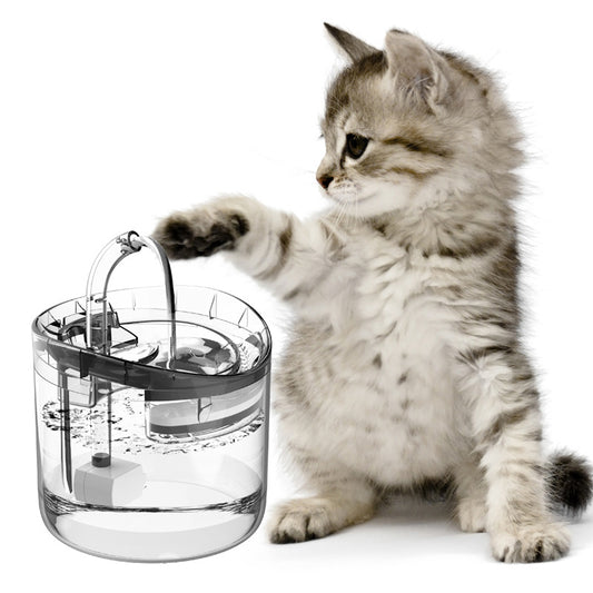 Pet Water Dispenser Automatic Circulation Cat Pets Gym From House