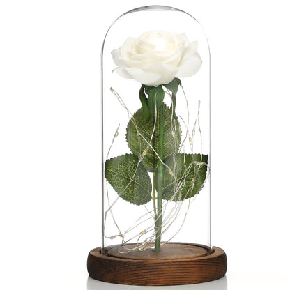 Glass Shade Rose Lamp