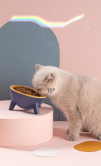 Cat Dog Bowl With Stand Pet Feeding Food Bowls Pets Gym From House