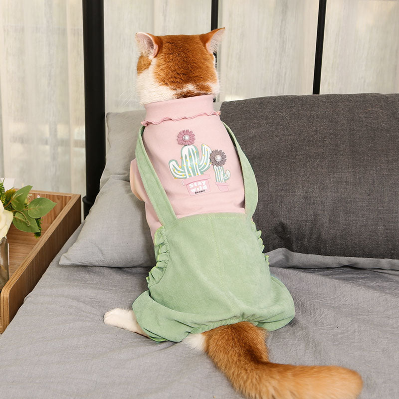 Warm And Cute Autumn And Winter Clothes For Pets Pets DealSniper.net Green orange powder L