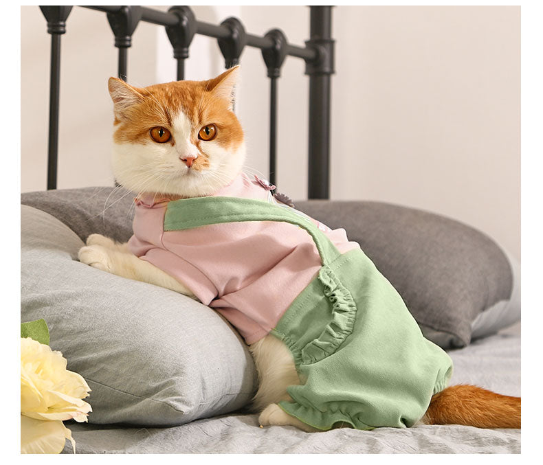 Warm And Cute Autumn And Winter Clothes For Pets Pets DealSniper.net
