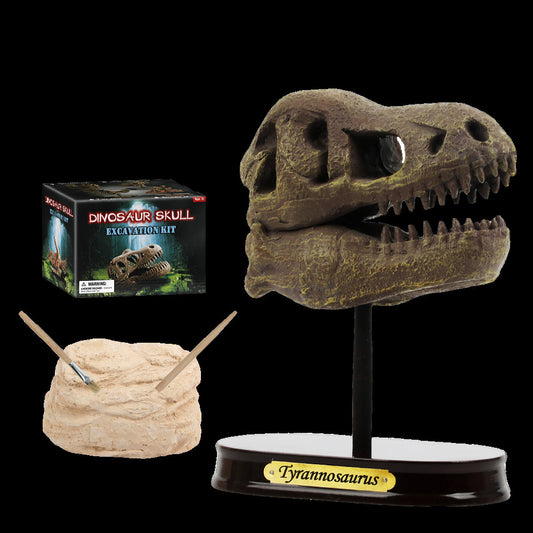 Dinosaur Head Archaeological Excavation Model Toy