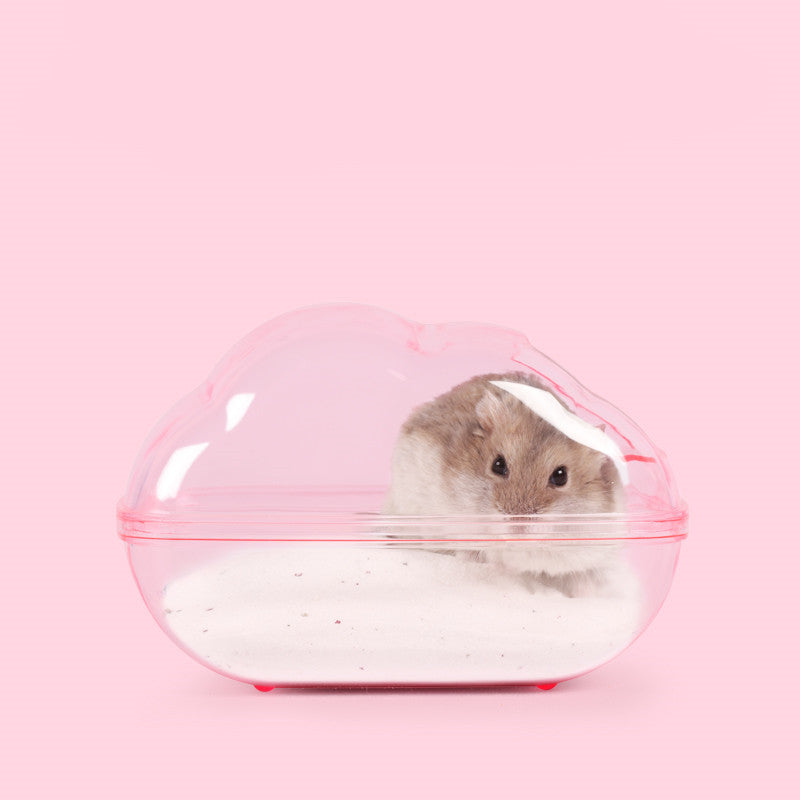 Hamster Cloud Bathroom Toilet Dual-Purpose Bathtub Pets Gym From House Pink M