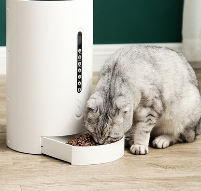 Pet Smart Feeder Pet Supplies Timing Pets Gym From House
