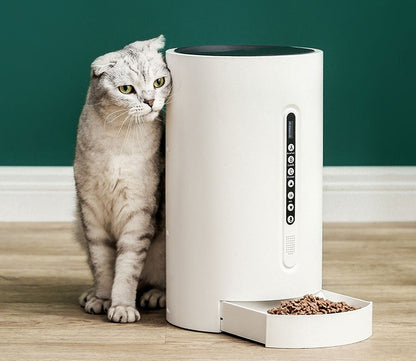 Pet Smart Feeder Pet Supplies Timing Pets Gym From House White