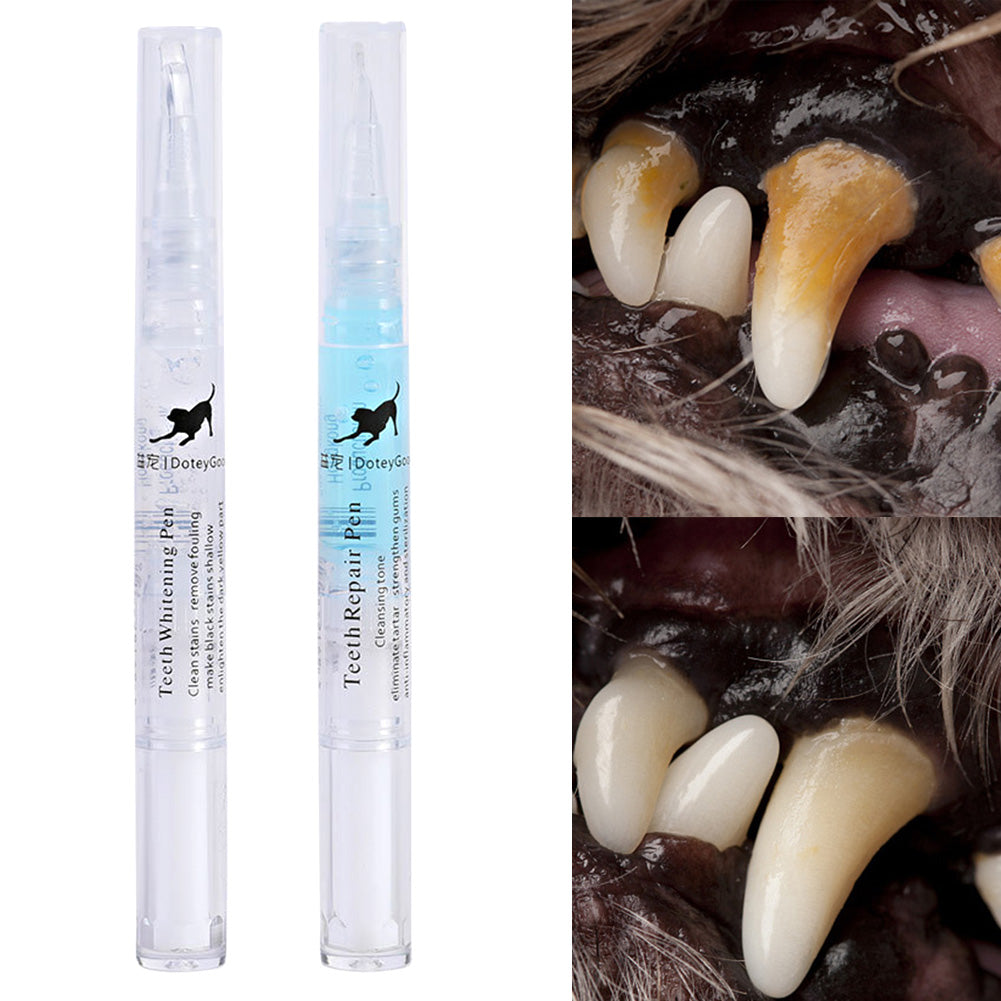 Pet Teeth Repairing Kit For Dog Cat Teeth Cleaning Pen Kit Pets Gym From House