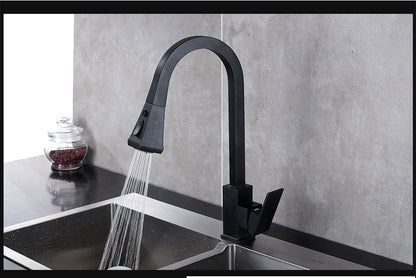 Stretchable Sink Faucet Double Outlet Mode Kitchen dealsniper-net