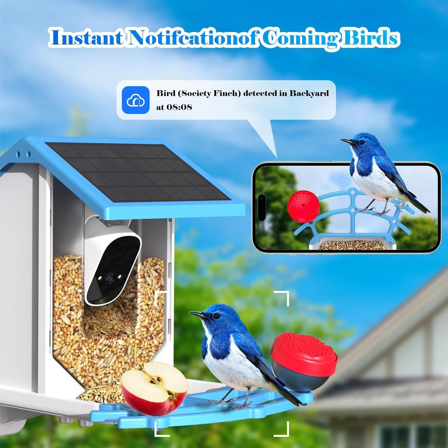 Smart Bird Feeder With Camer Solar-Powered WiFi Pets dealsniper-net