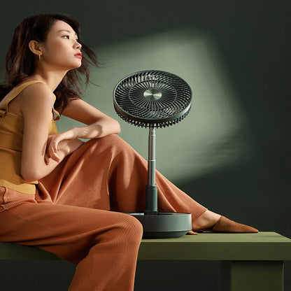 Household Remote Storage Floor Electric Fan Desktop