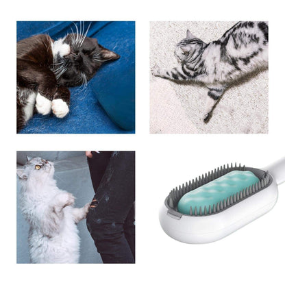 Cat Hair Brush With Water Sticky Brush For Cats Pets Gym From House