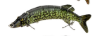 The classical multistage bionic lure Outdoor DealSniper.net 2
