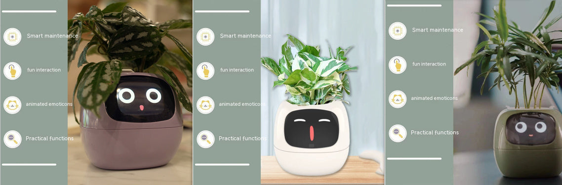 Smart Planter Endless Fun Over 49 Rich Expressions