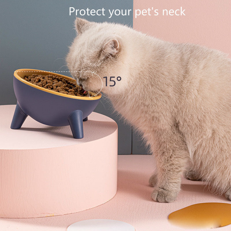 Cat Dog Bowl With Stand Pet Feeding Food Bowls Pets Gym From House