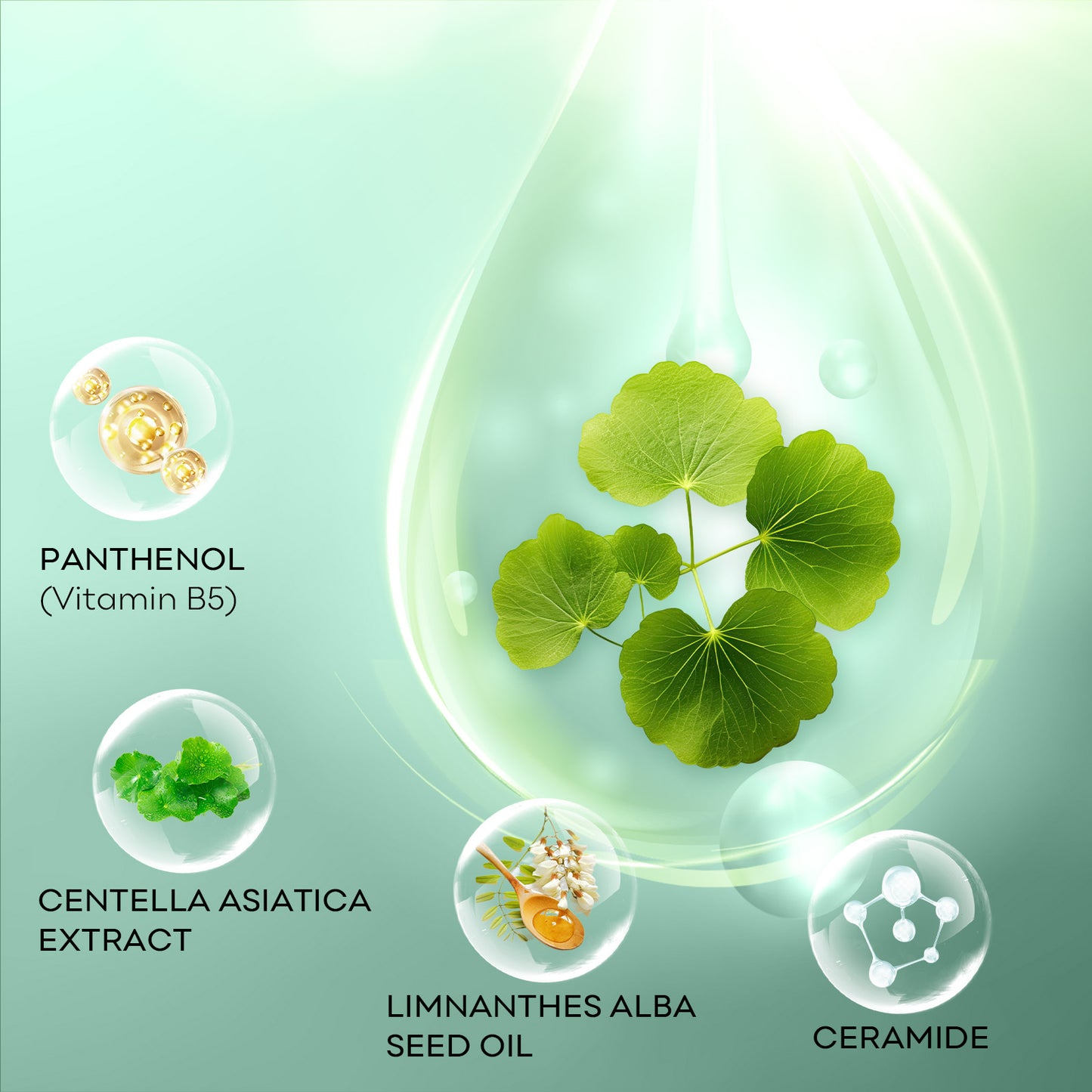 Centella Asiatica Facial Mask Beauty DealSniper.net