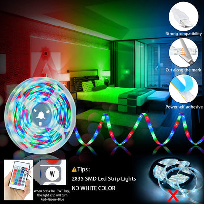 LED Strip Lights RGB 2835 Bluetooth Control USB Flexible House BlenderJuice.com CJ