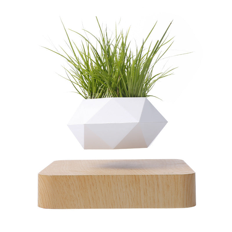 Magnetic Levitation Polygonal Wood Grain Potted Plant Home Decor DealSniper.net Light wood grain AU