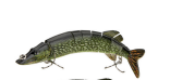 The classical multistage bionic lure Outdoor DealSniper.net 1