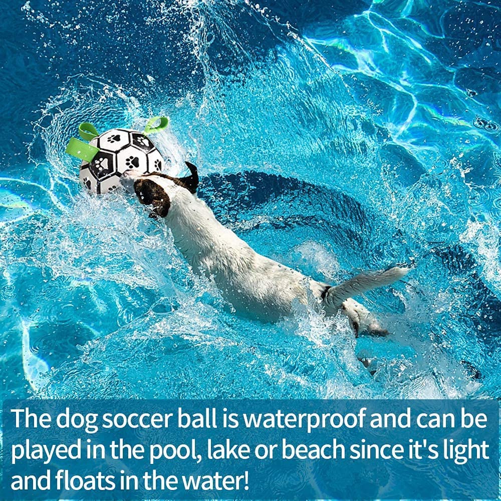 Interactive Dog Football Toy Soccer Ball Inflated Training Toy Pets Gym From House