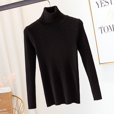 Turtleneck Sweater Women Knit Bottoming Shirt Winter Keep Warm Women dealsniper-net Black One size