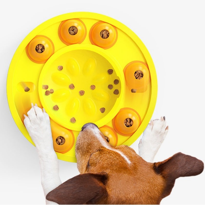 Train Pet Supply Turntable To Automatically Leak Food Pets Gym From House