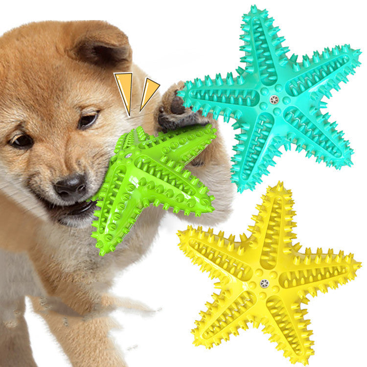 Starfish Vocal Pet Dog Toy Molar Stick Pets Gym From House