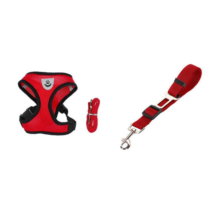 Pet Car Seat Belt Pet Leash Pets Gym From House