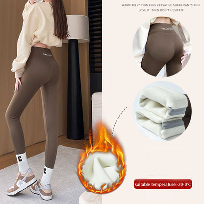 Fleece Thickened Leggings Winter -20 To 5 Shark Pants Women dealsniper-net Brown 650g