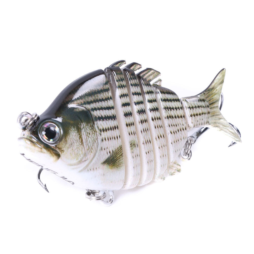 Creative And Simple Tilapia Bionic Lure Bait Outdoor dealsniper-net 6 Style