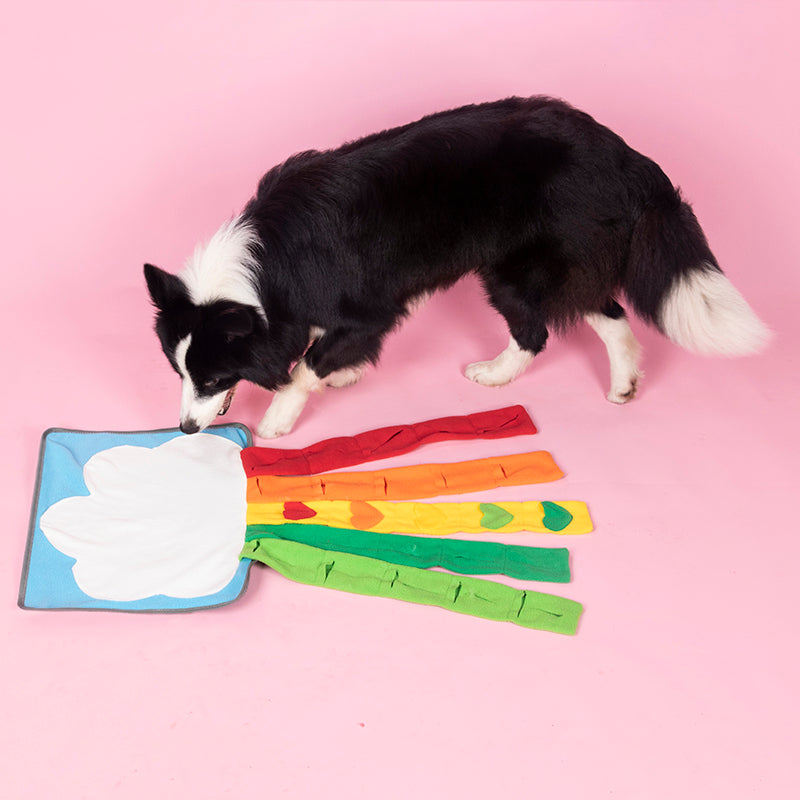 Pet Rainbow Enrichment Mat Dog Play Snuffle Mat For Boredom Pets Gym From House