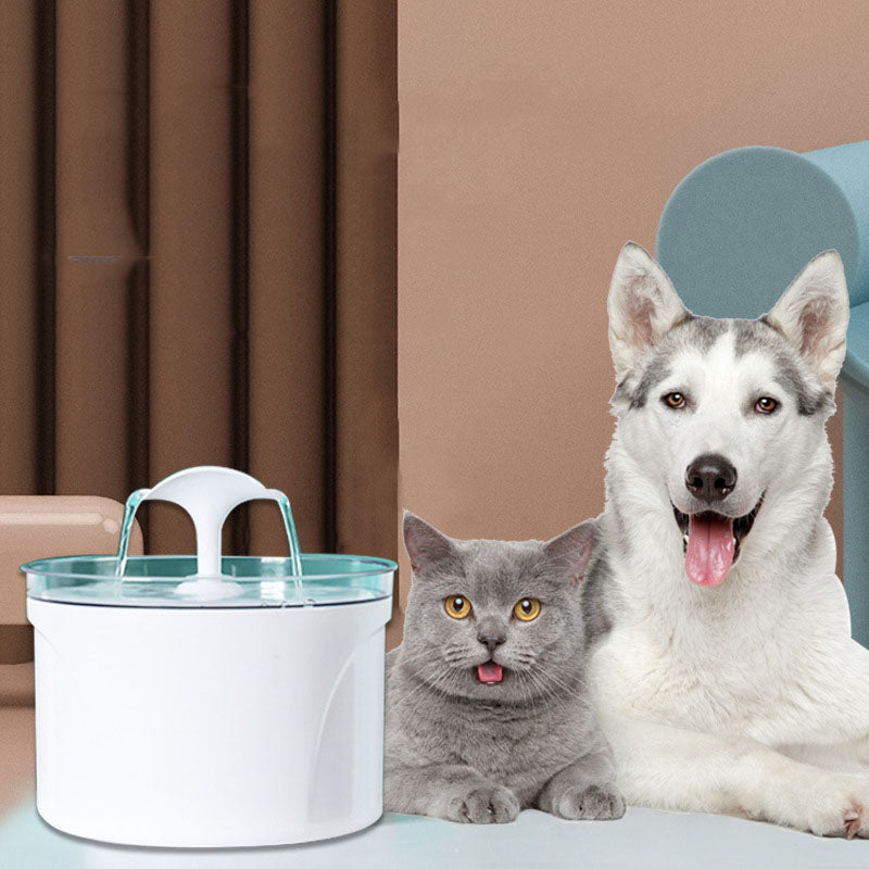 Pet Dog Cat Water Fountain Electric Automatic Water Feeder Pets Gym From House