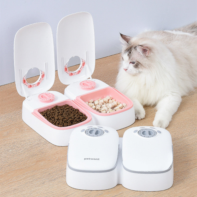 Pet Automatic Timing Feeder Puppy Pets Gym From House