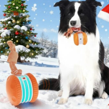 Pet Ball For Dogs Interactive Toys Motion Activate Rolling Ball Pets Gym From House Five generations of orange