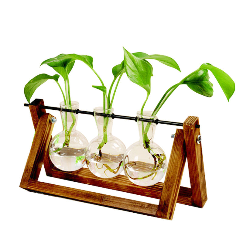 Swing Wooden Stand Hydroponic Plant Container Glass Vase Home DealSniper.net