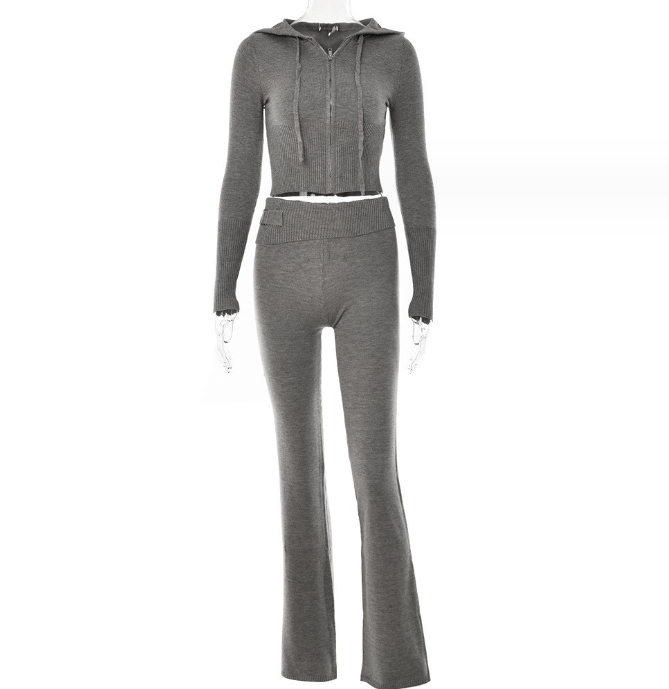 Hoodie Suit Women Leisure Sexy Zip Long Sleeve Sweater And High Waist Long Pants Set Women dealsniper-net Grey suit S