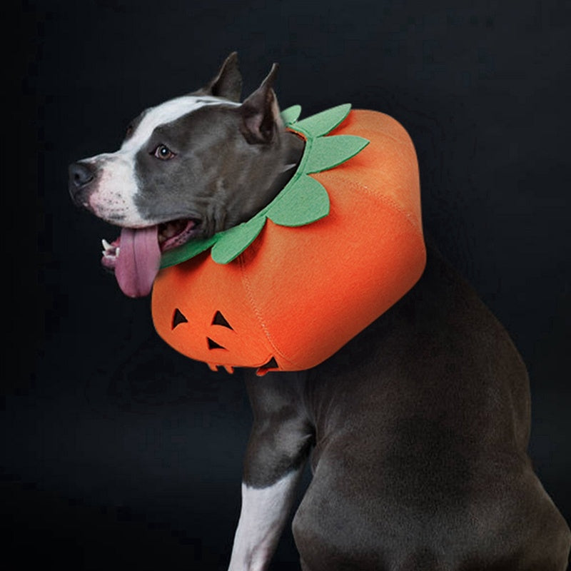 Pet Halloween Pumpkin Collars Cute Pet Cosplay Accessories Pets dealsniper-net