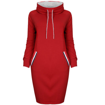 Autumn winter dress Long sleeve vestidos Casual party