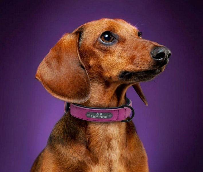 Dog Tag Identity Card Customization Pets DealSniper.net